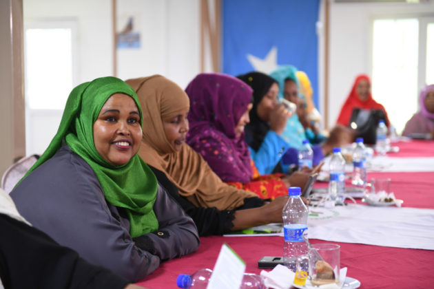 Somali Women Mps Resolve To Push For Gender-sensitive Laws In 